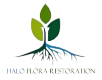 Haloflora restoration