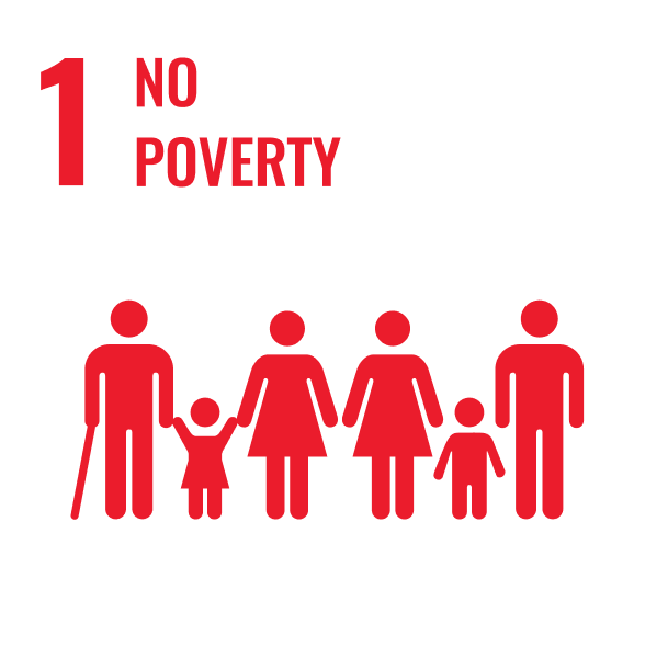sdg image
